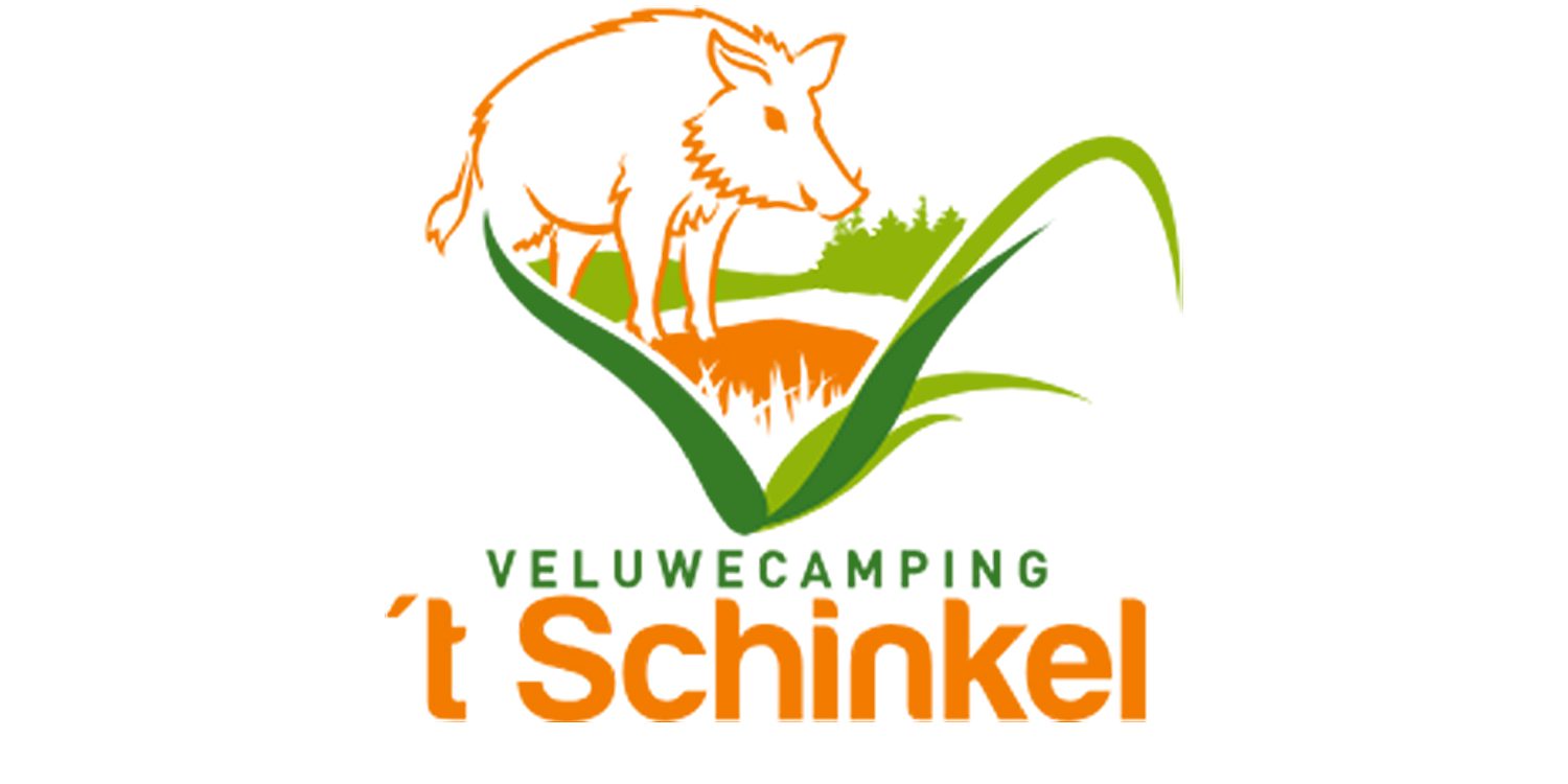 tSchinkel_site